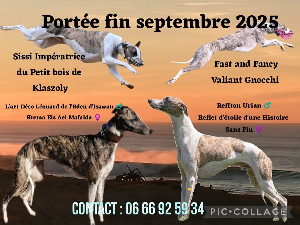 nouvelle portée 